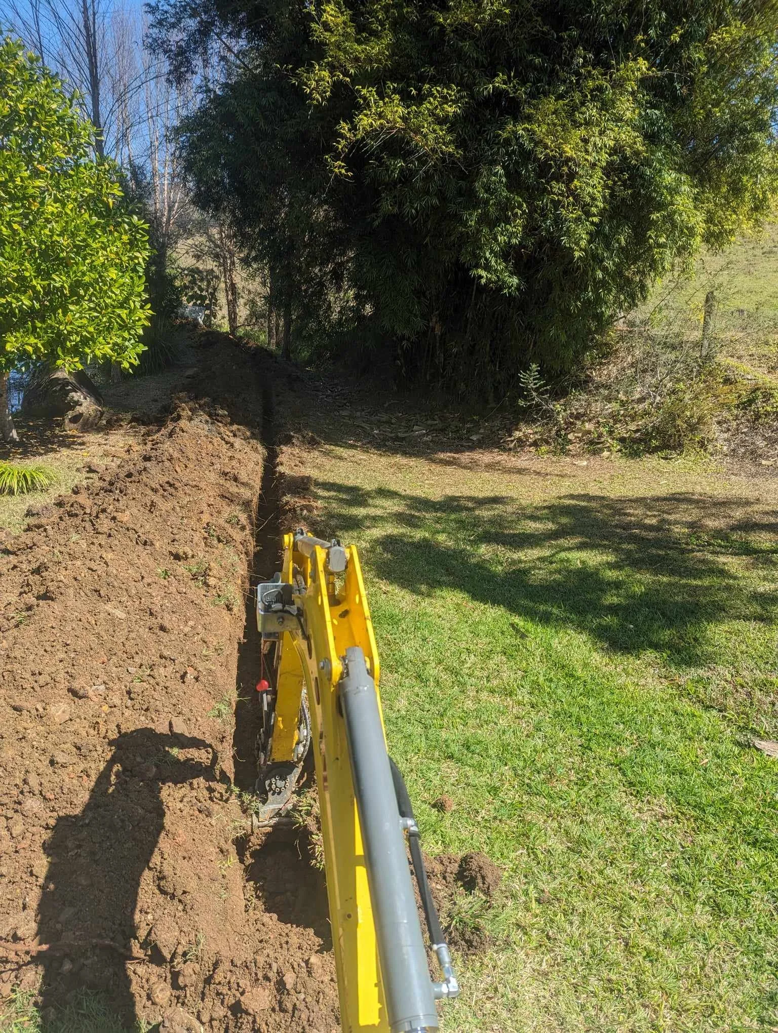 Excavator digging trench in grassy area near trees