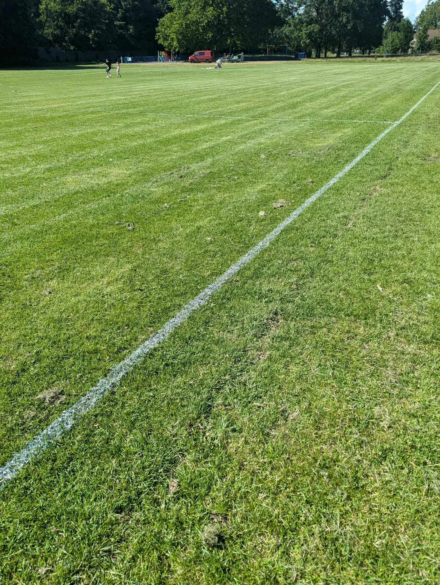 pitchmark.jpg