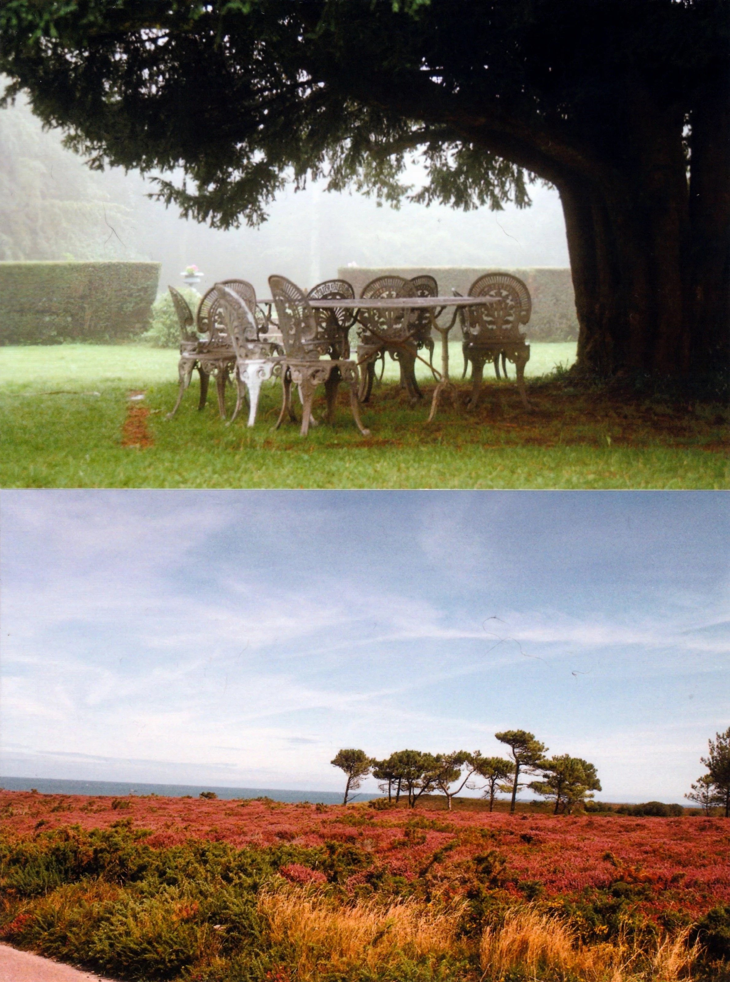 Cap d’Erquy, Brittany, France.