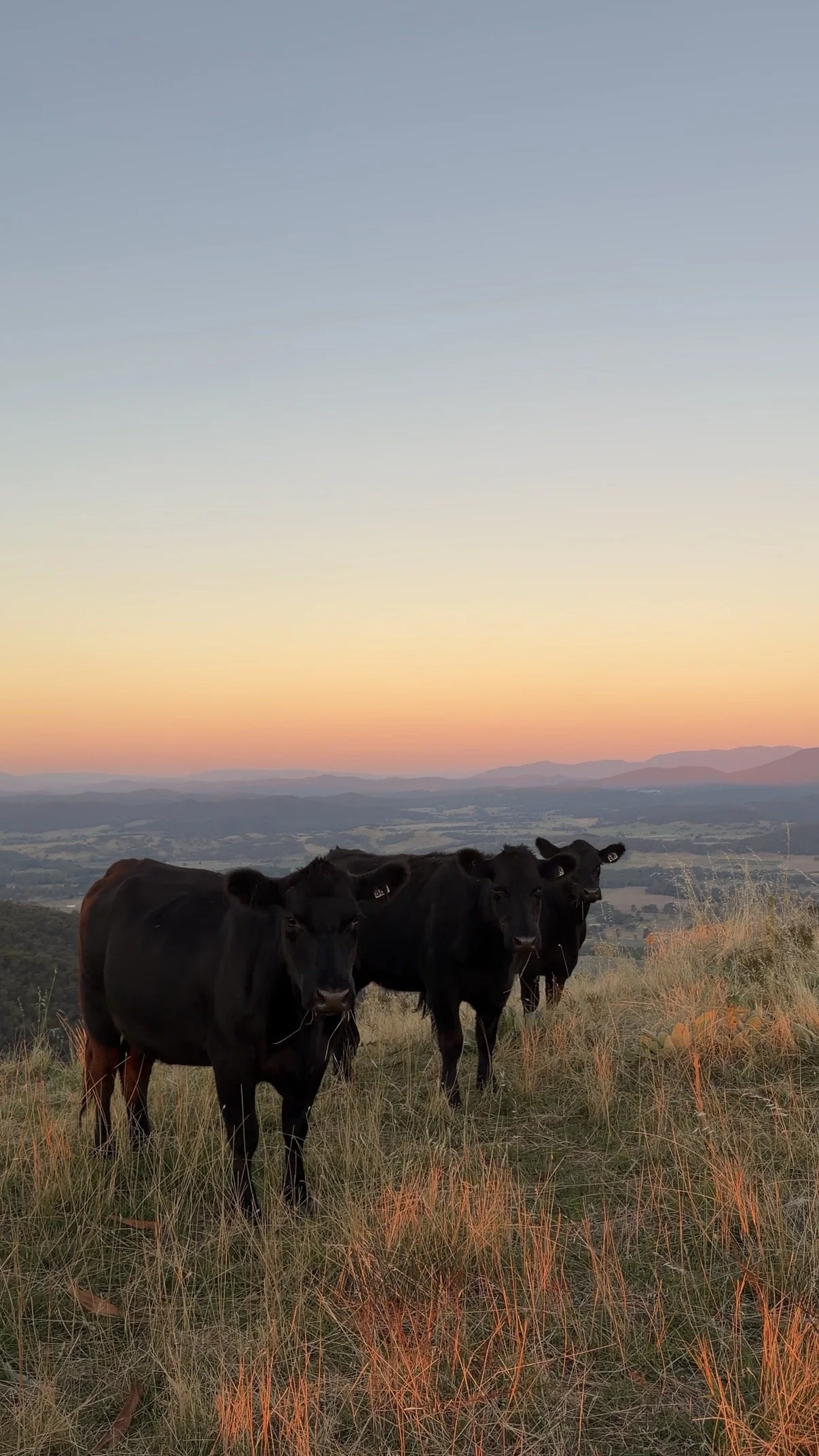 Why Autumn is the Perfect Time to Visit Bluestone Ridge