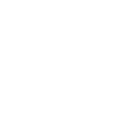 Dice icon