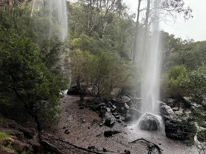 Paradise Falls