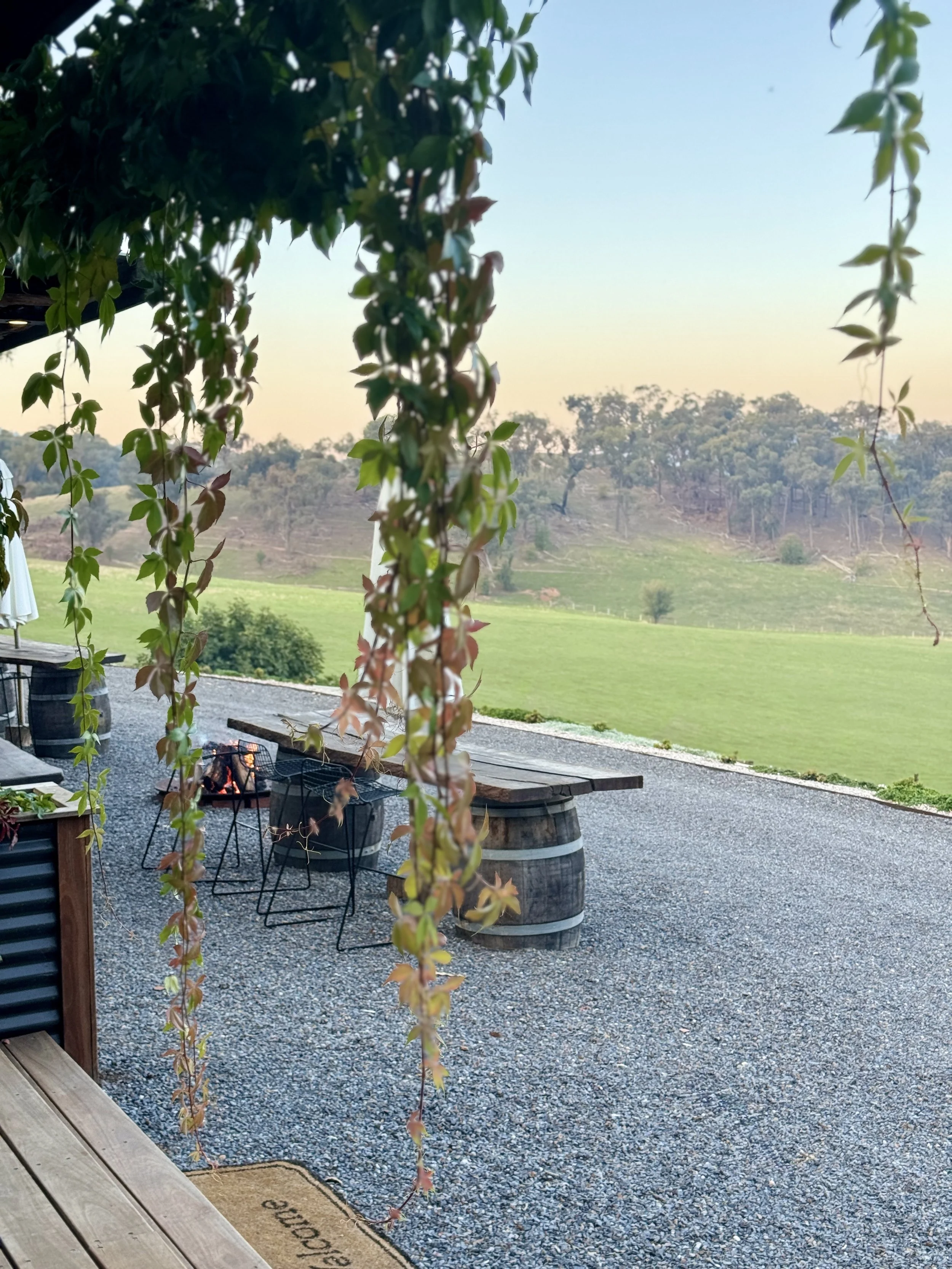 Outdoor patio with a fire pit, chairs, and a barrel table, overlooking a green rolling hillside and distant trees, with part of a hanging plant in the foreground.