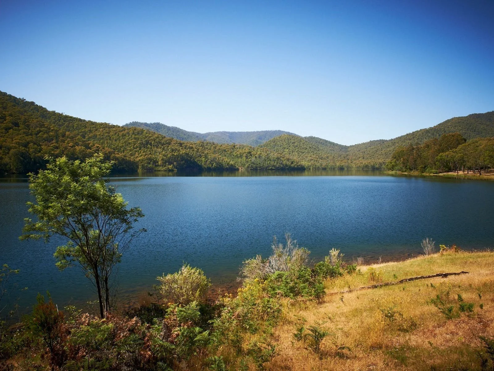 A peaceful lake surrounded by green trees and rolling hills under a clear blue sky.