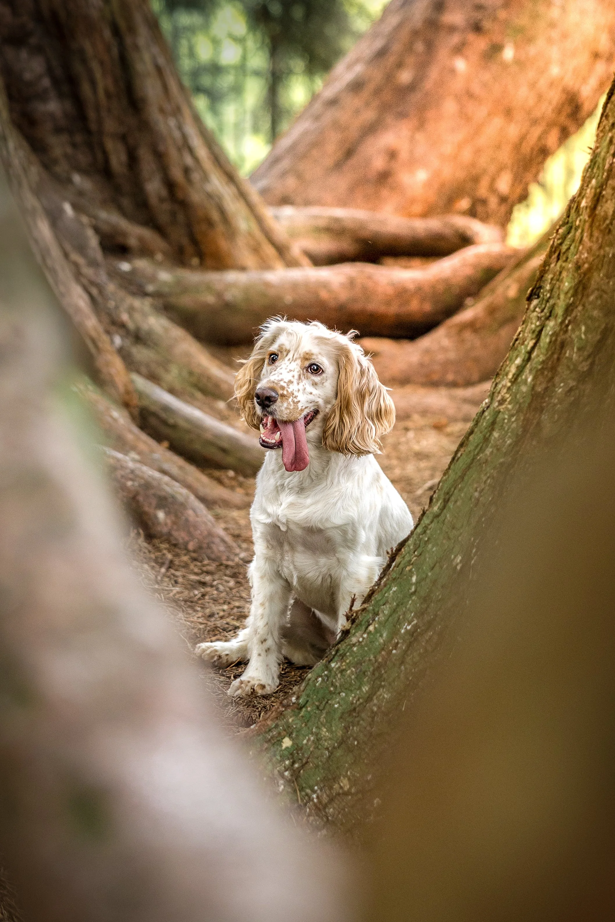Huxley (22).jpg