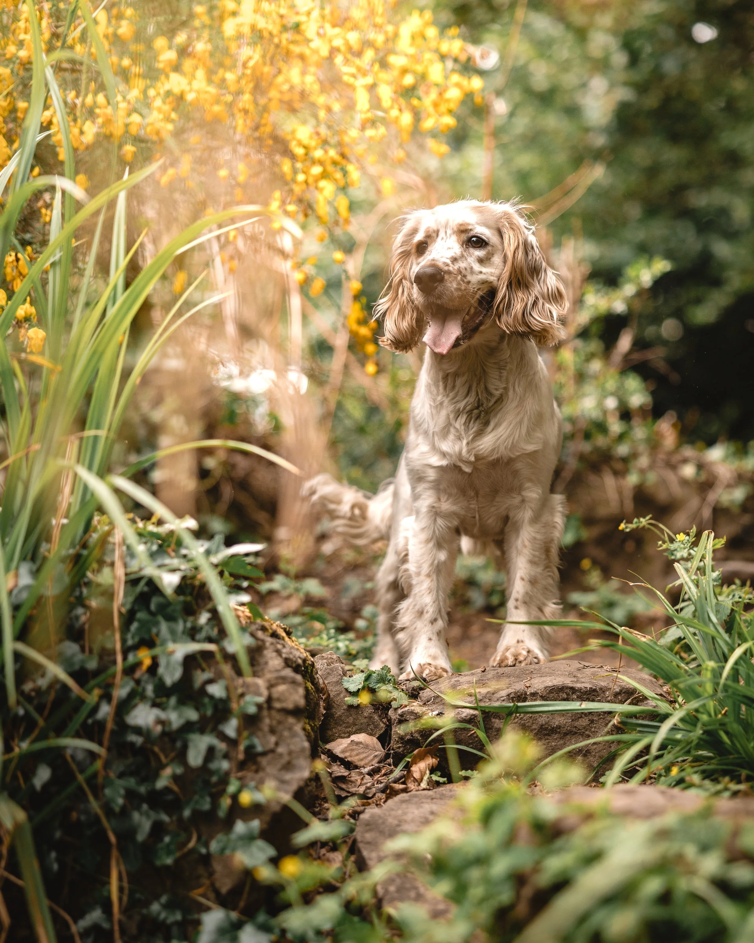 Huxley (11).jpg
