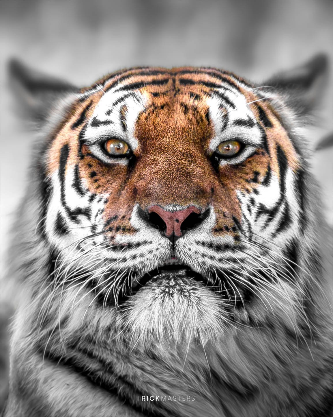 _11A5830-Enhanced-NR-Edit2-Edit3.jpg