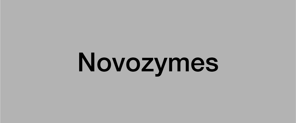 BB-case-novoz.png