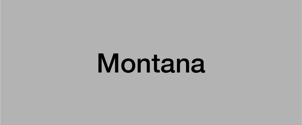 BB-case-montana.png