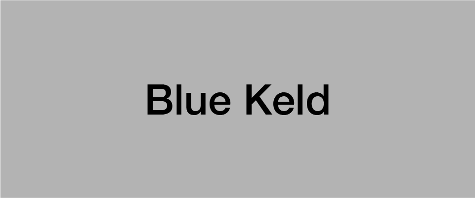 BB-case-bluekeld.png