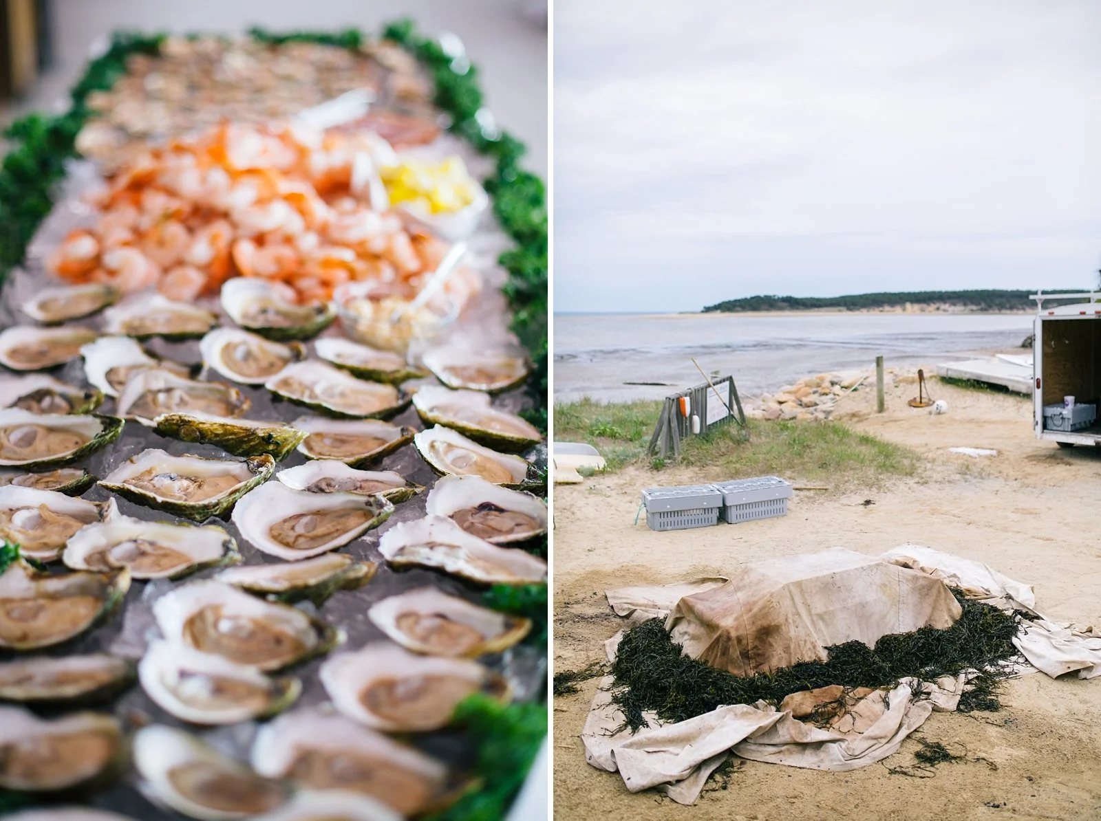 35-los-angeles-wedding-photographer-cape-cod.jpg