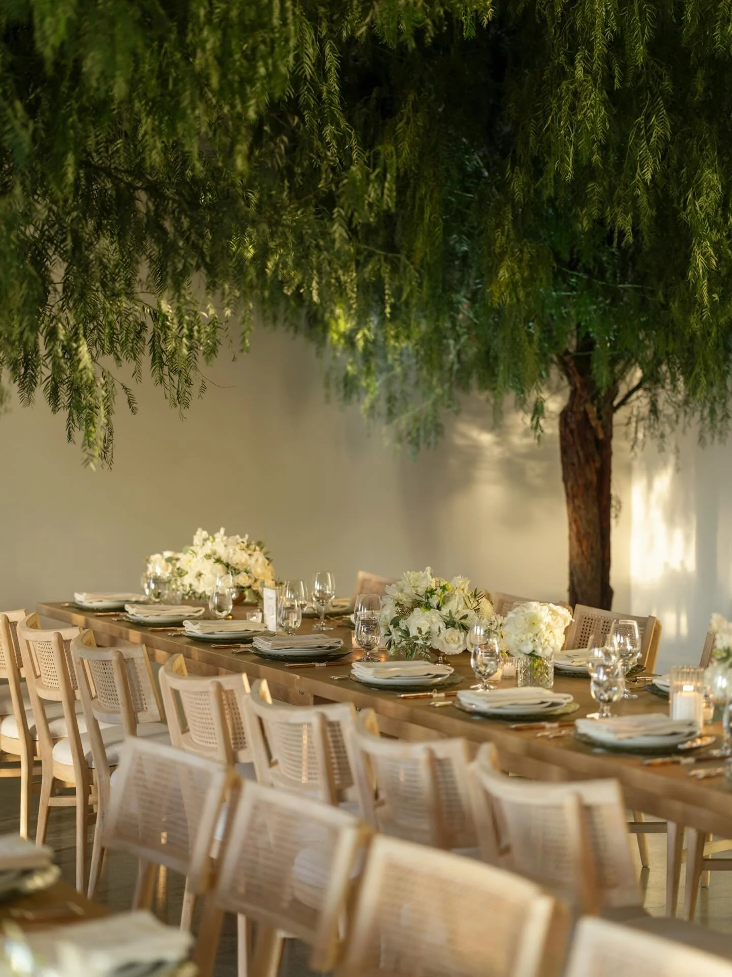 A modern twist on a multicultural wedding&ndash;Pat and Shirley&rsquo;s California desert Chinese American celebration was one for the books!

The pair met by chance (fate) at a wedding in Beijing and shared an instant connection. In the years since,