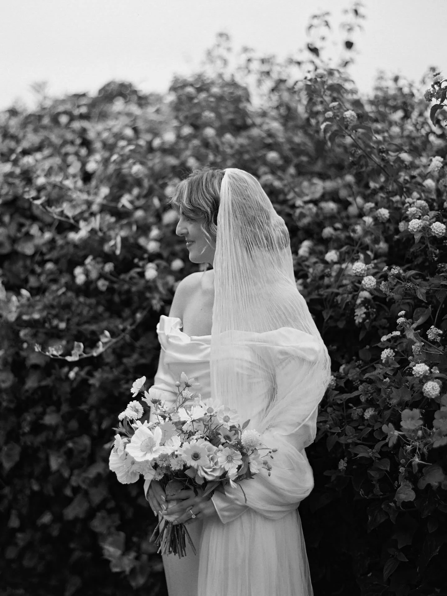Dixie looking absolutely radiant on her wedding day.

PLANNING &amp; DESIGN @alwaysallegra_
VENUE @belairbayclub
FLORAL @bestdayeverfloraldesign
PHOTO @danforthneal of @forma_mgmt
ENTERTAINMENT #deboisentertainment
LIGHTING @stagelabs
VIDEO @knotcrea
