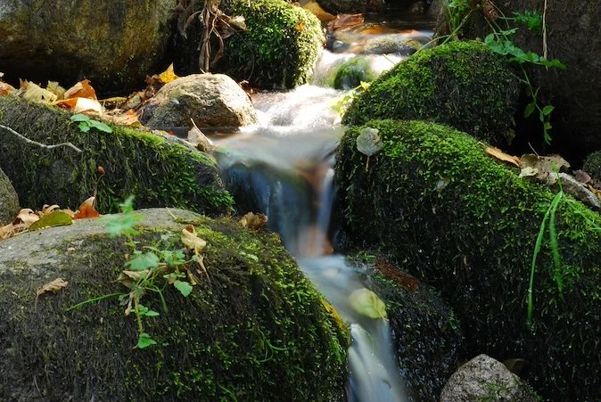 Festival de Caminhadas de Monchique