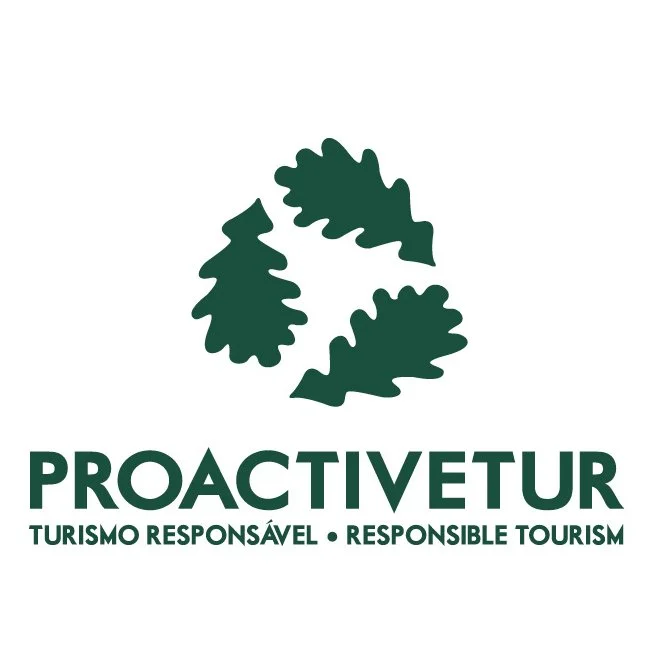 Proactivetur.jpg