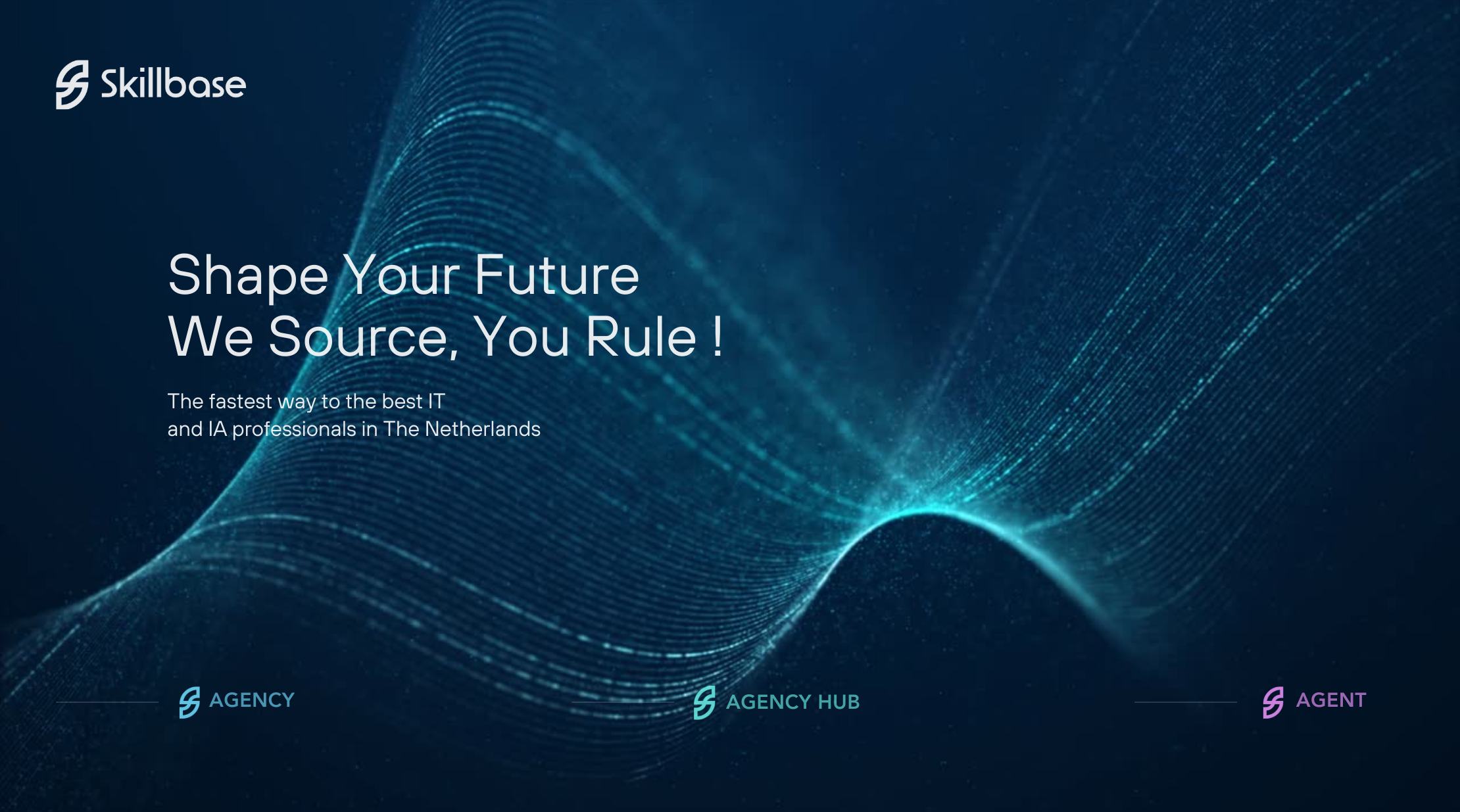 Skillbase website Testing.png