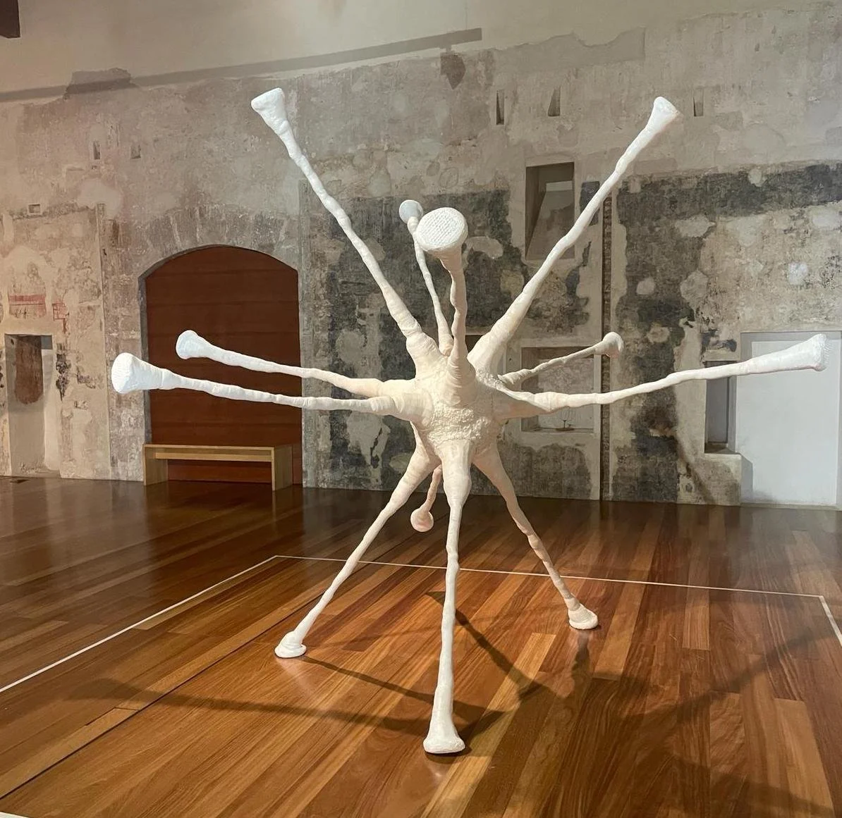 WhatsApp Image 2024-03-27 at 13.30.12.jpeg