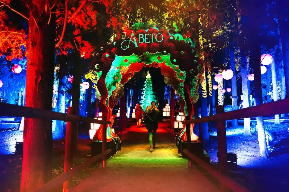 cuentos de navidad4.webp