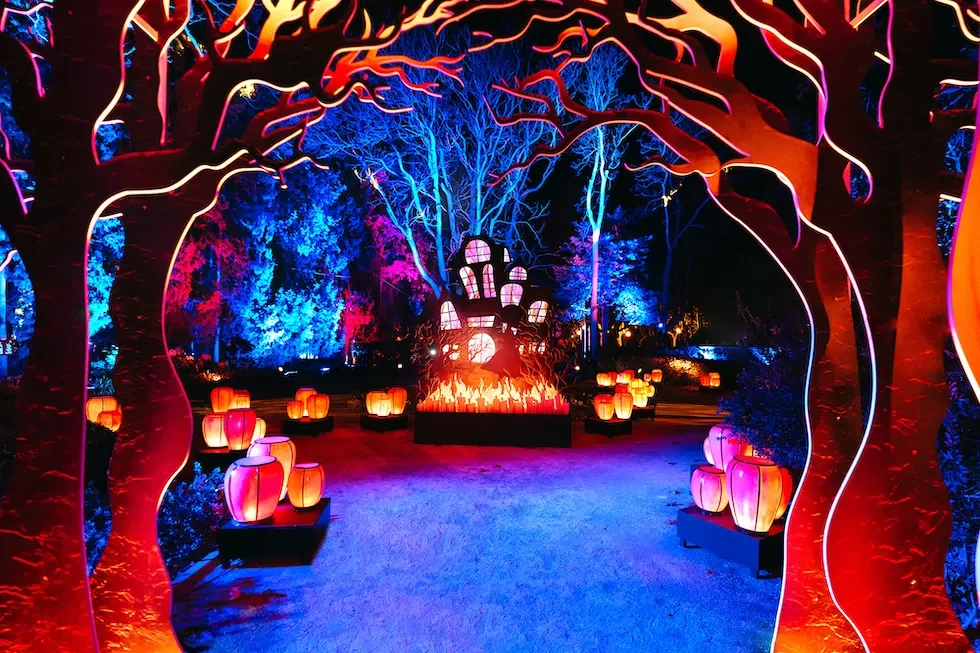 cuentos de navidad1.webp