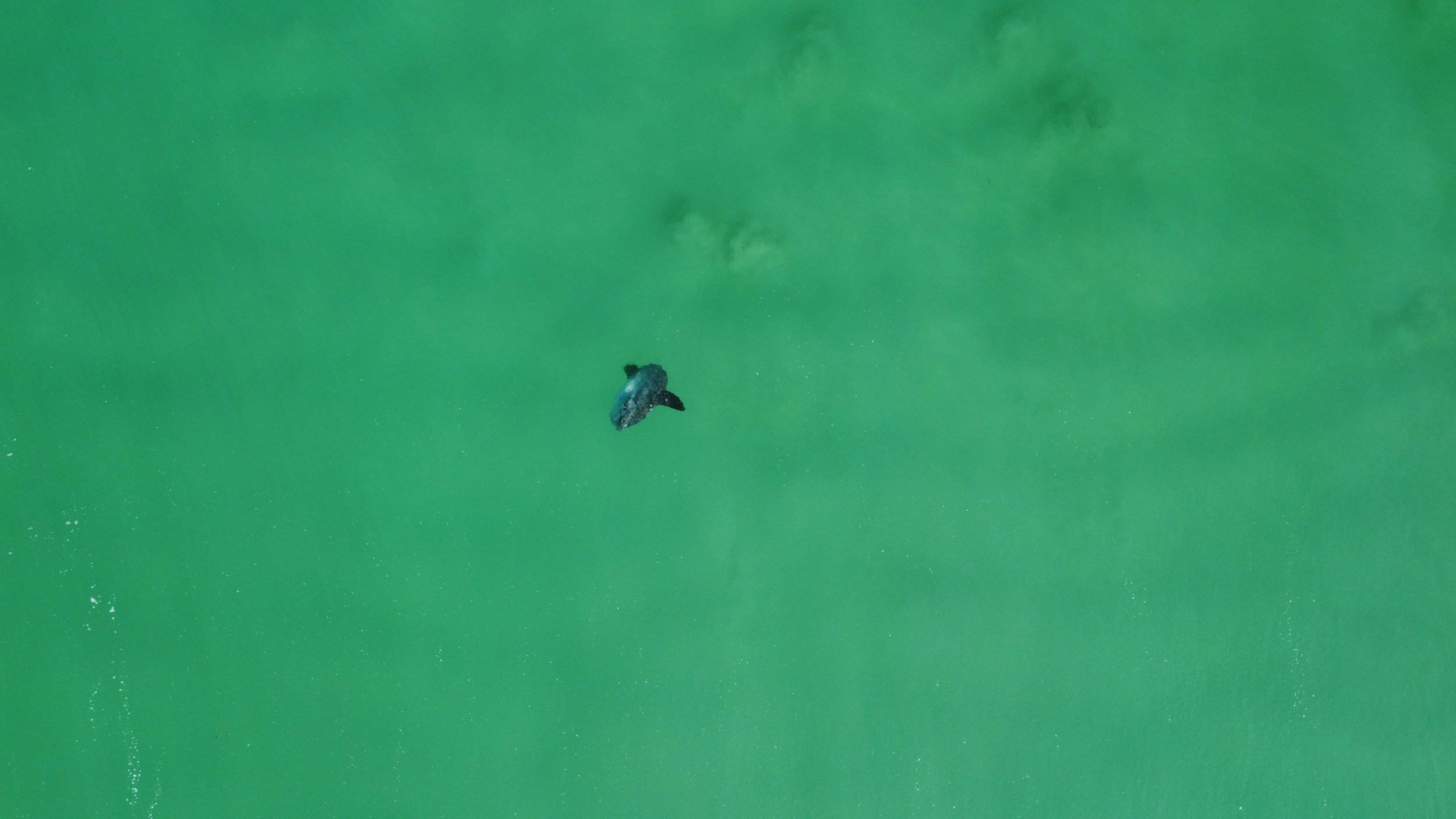 DJI_0040.JPG