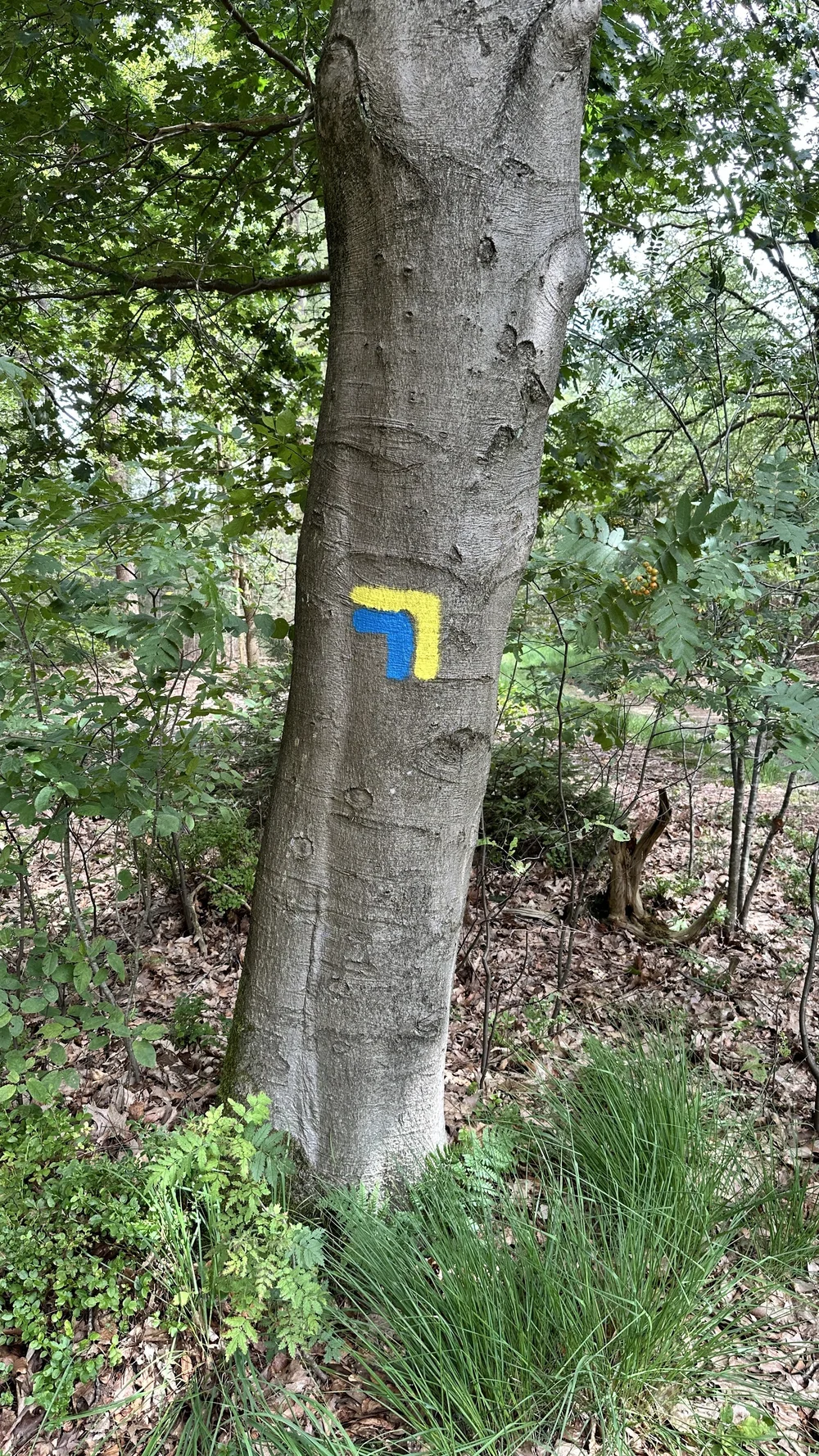 Markering geeft aan “links af slaan”