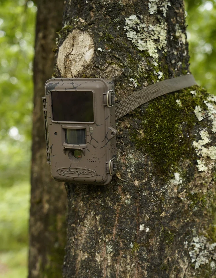 Gebruik van wildcamera`s — Natuurverhaal.nl