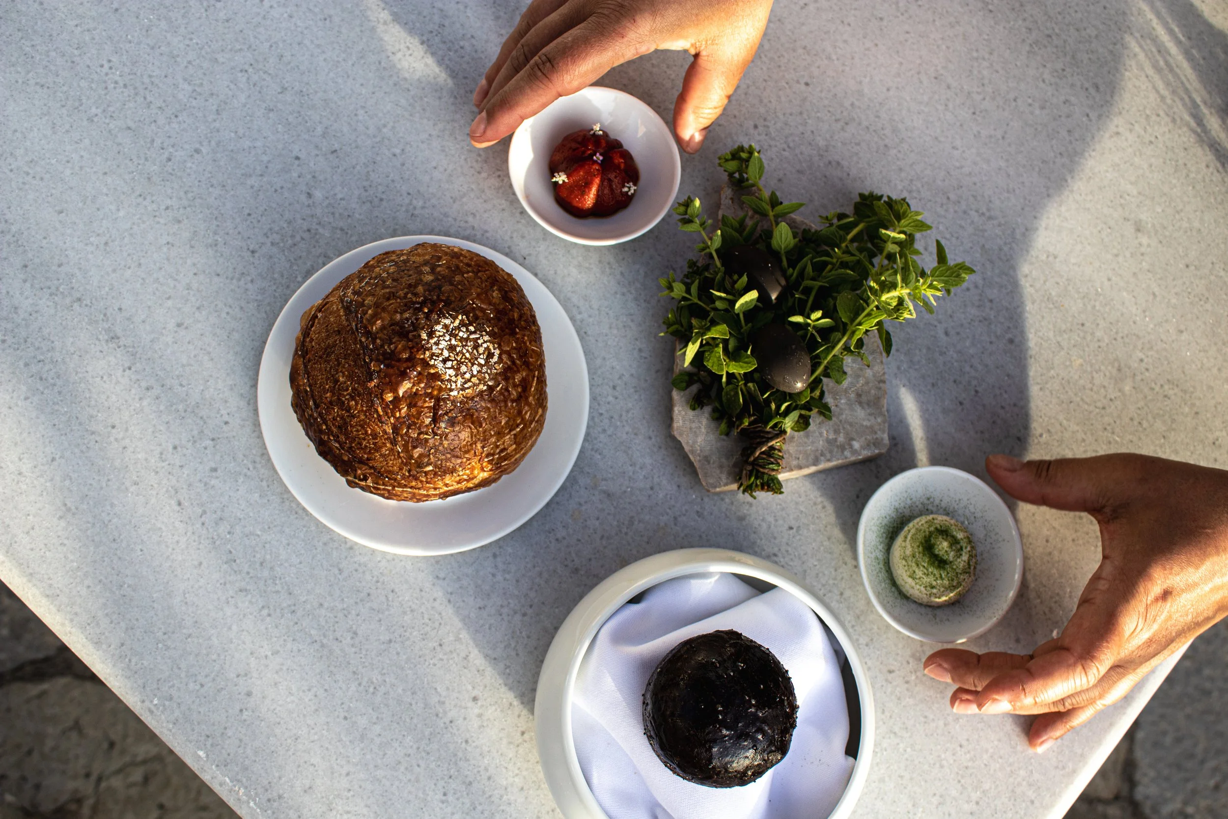 A table with a chocolate roll, a dark round cake, a small bowl of strawberries, a small bowl of matcha, and a potted plant with dark berries, seen from above with two hands reaching for items.