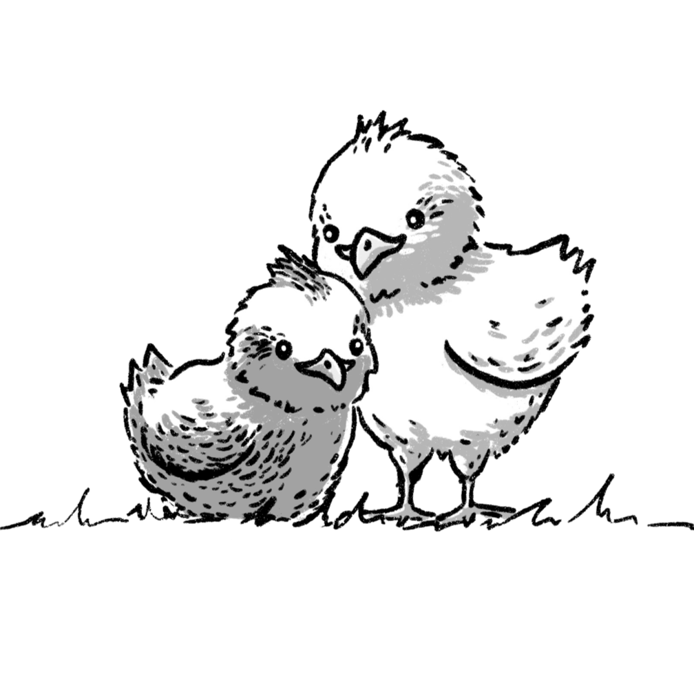 Black-and-white illustration of two chicks standing on a branch, facing forward.