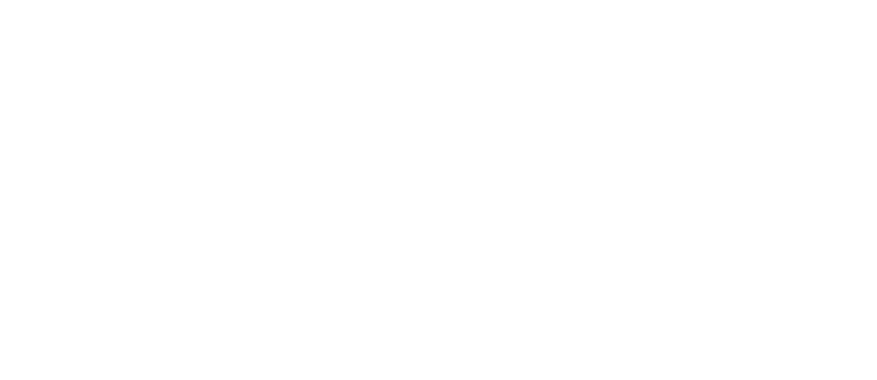 Text announcing the festival of football in partnership with Seagulls FC and AFC Varndeanians.