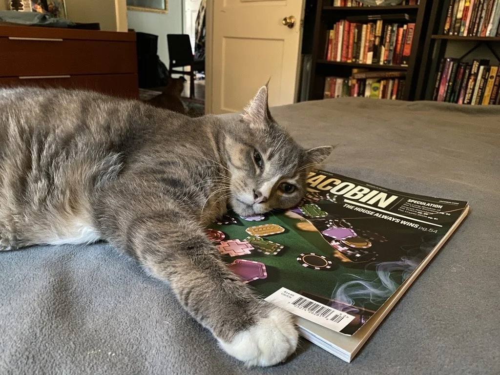 Dreaming of a Better Future