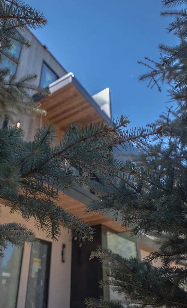 View of a modern house with wooden and metal exterior, seen through the branches of evergreen trees against a blue sky.