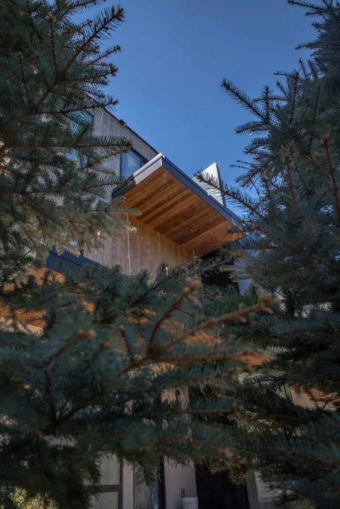 Looking up at a modern house through pine tree branches during daytime.