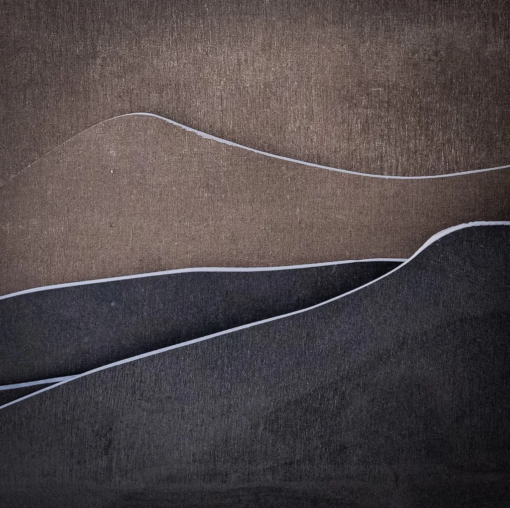 Abstract artwork with layered, curved shapes in shades of brown, gray, and black, outlined with white lines.