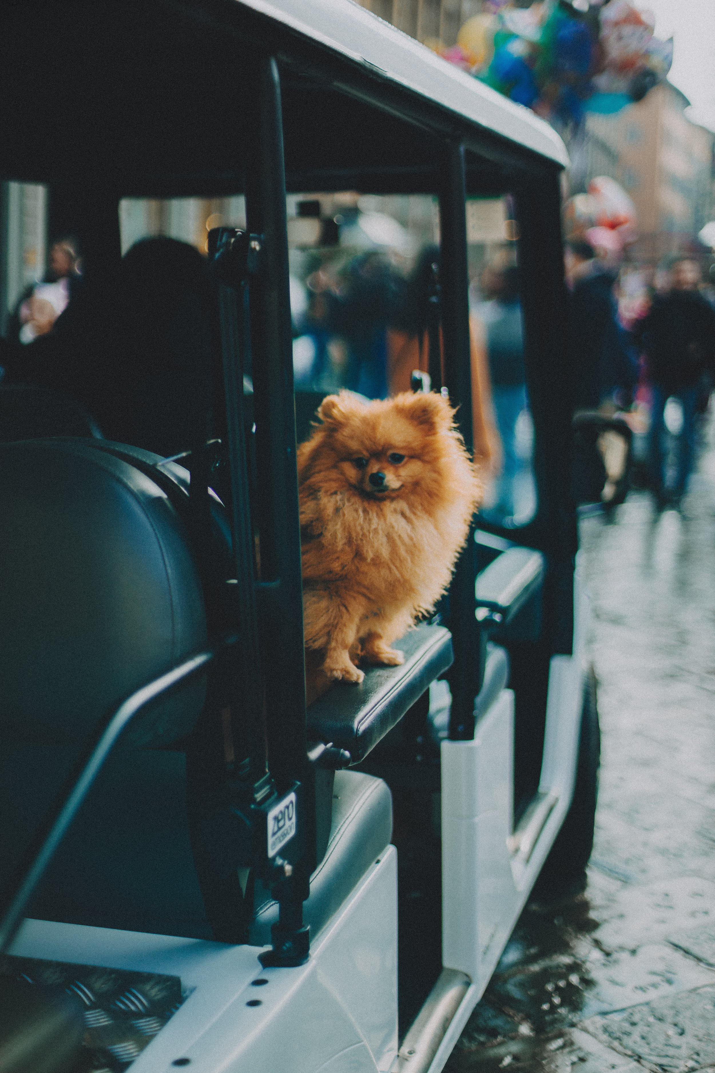_DSC1790.jpeg