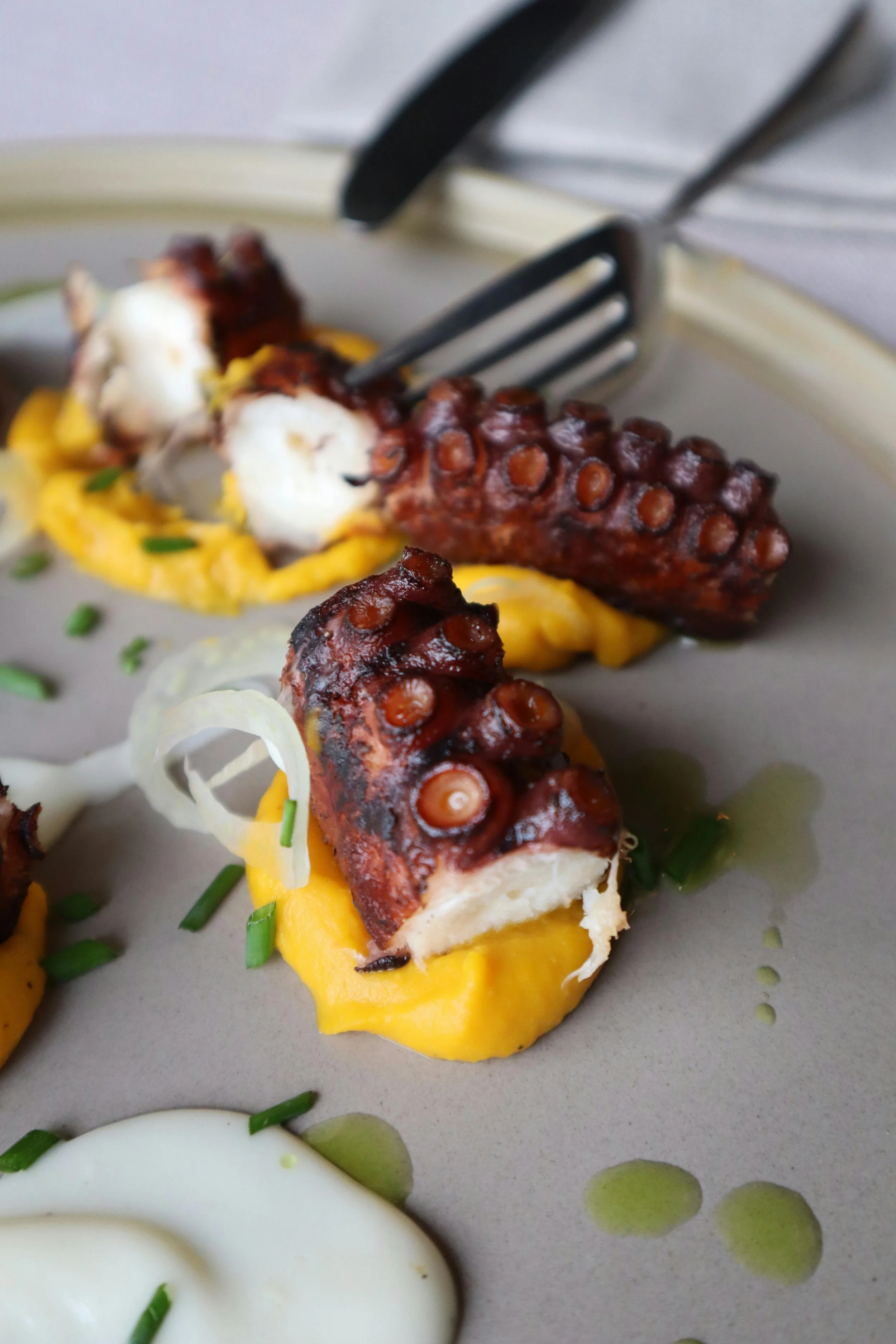 Plato con pulpo a la parrilla, puré de calabaza y crema, decorado con cebolla y cebollín.