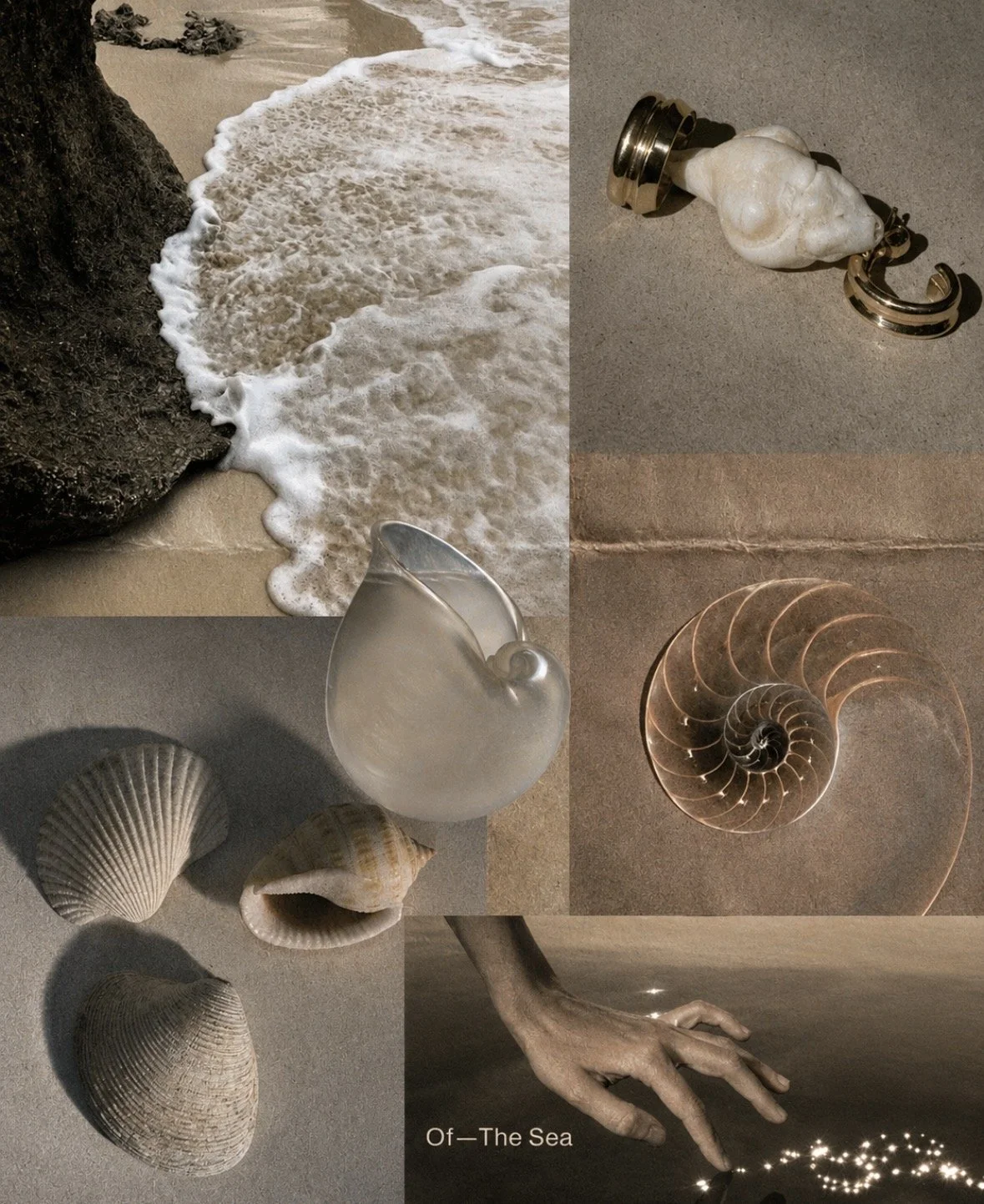 Collage van zee- en schelpelementen: strand met rots en golvend water, schelpen, glaswerk en een menselijke hand, met een achtergrond van een spiraalvormige nautilus