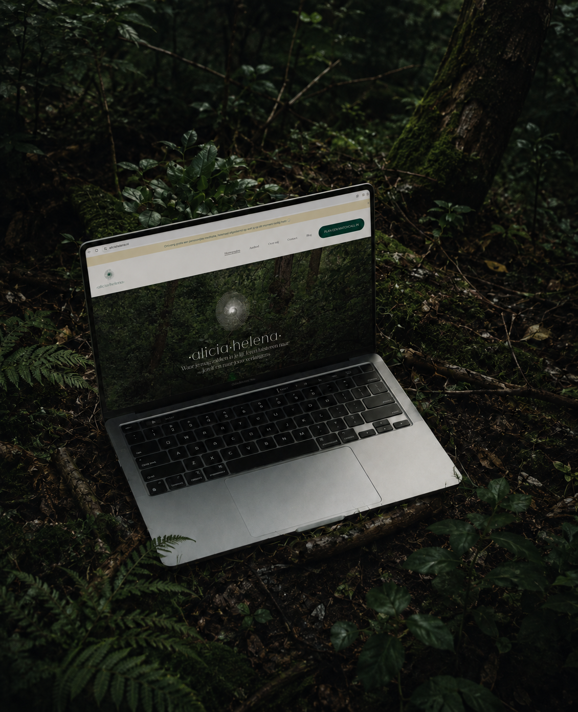 Website ontwerp & tekst voor Alicia Helena