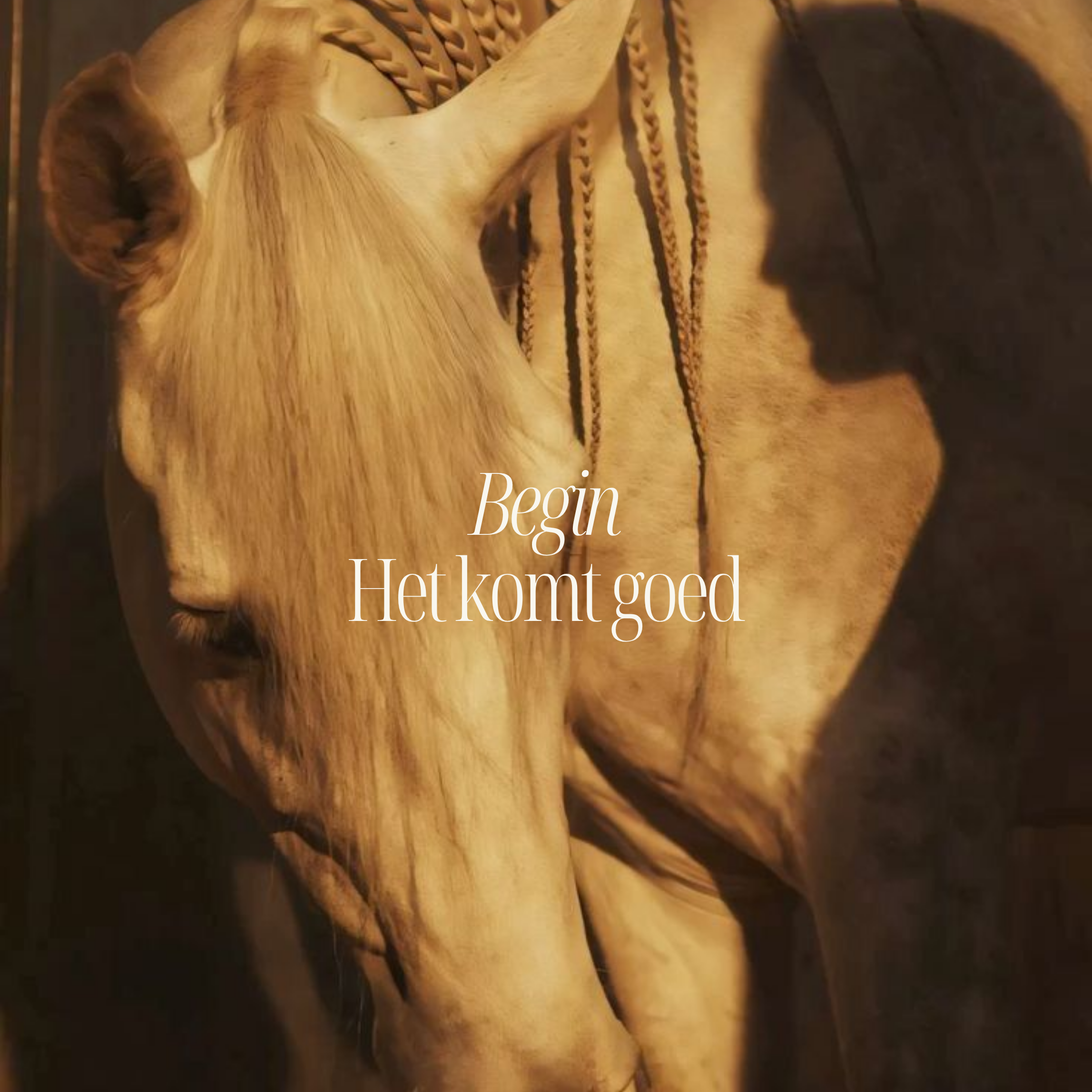 Een gerelateerd beeld van een houten beeld met de tekst 'Begin het goed'.