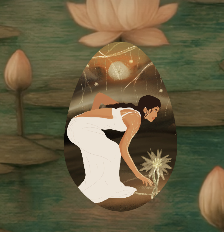 BRANDING + WEBSITE + SOCIAL MEDIA