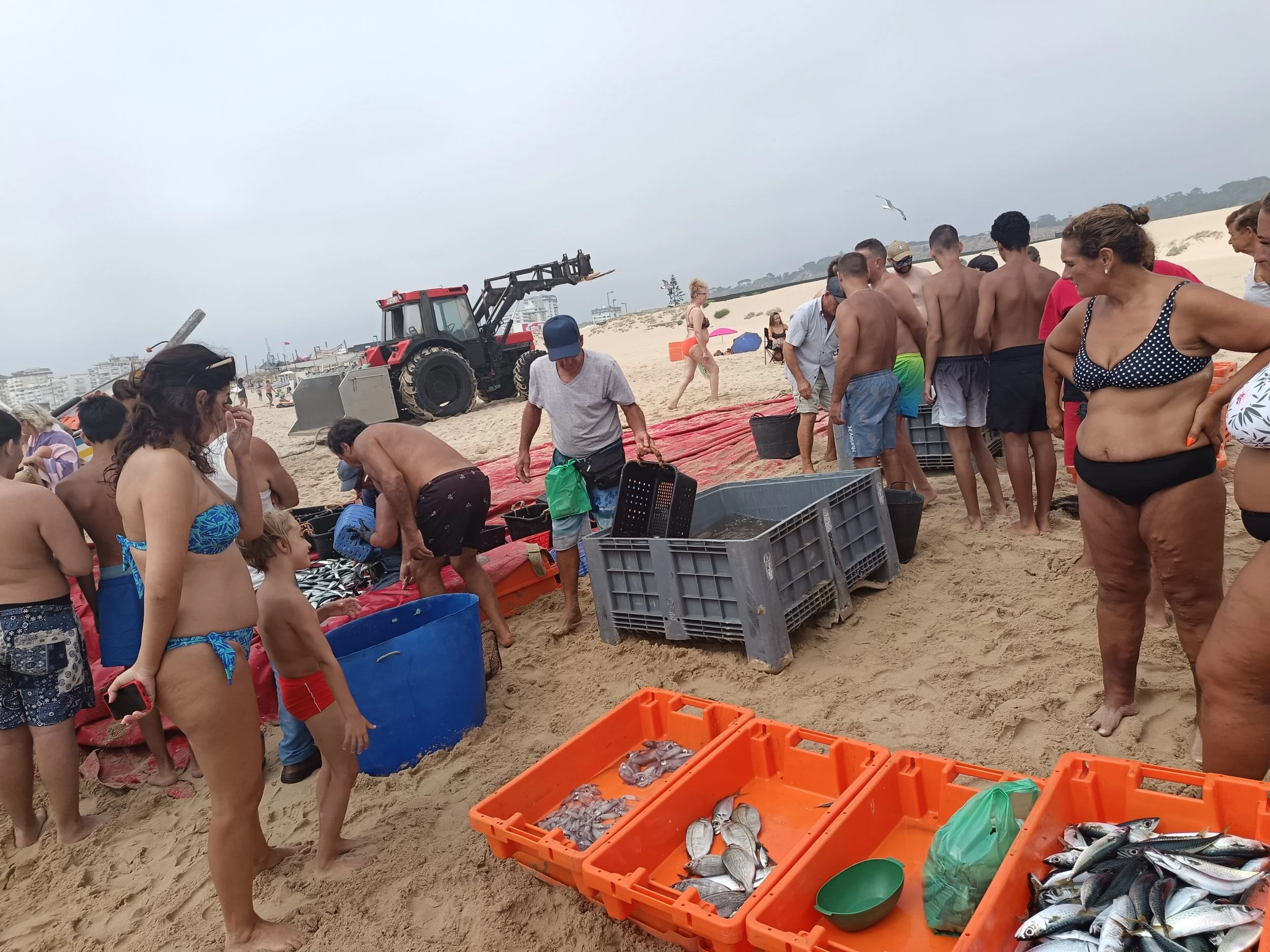 Caparica Beach on Fish Market day.jpg