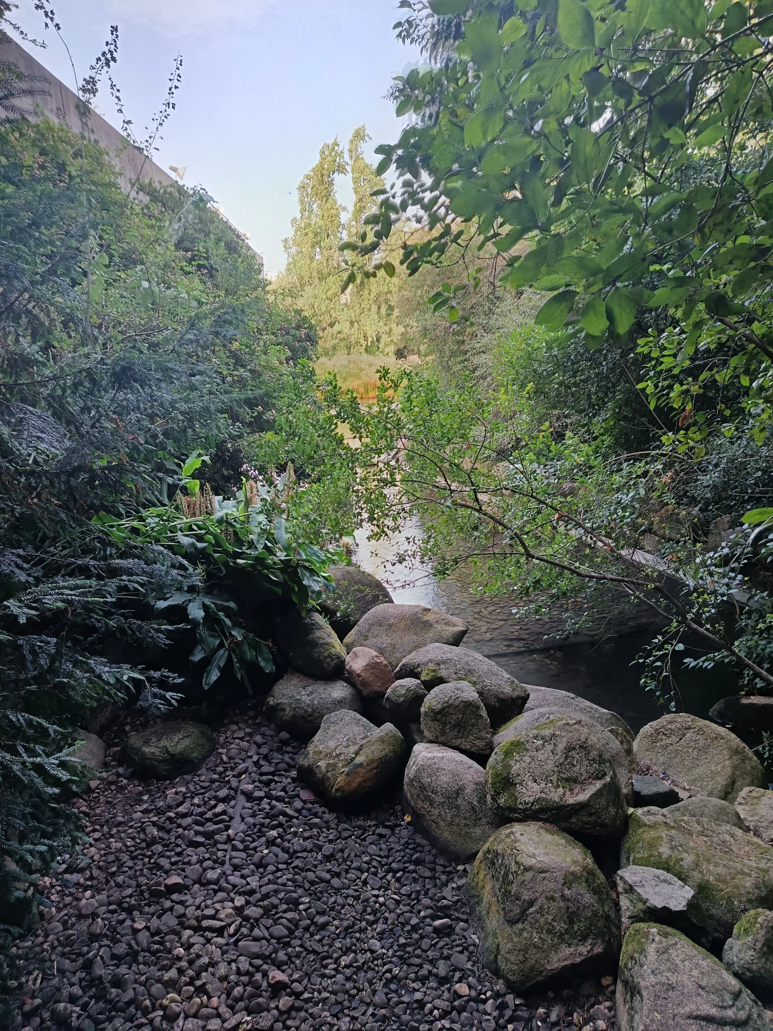 Forest walk on the Caparica Coast.jpg