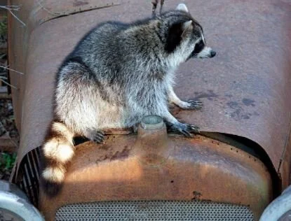 WORKPLACE INSPECTIONS