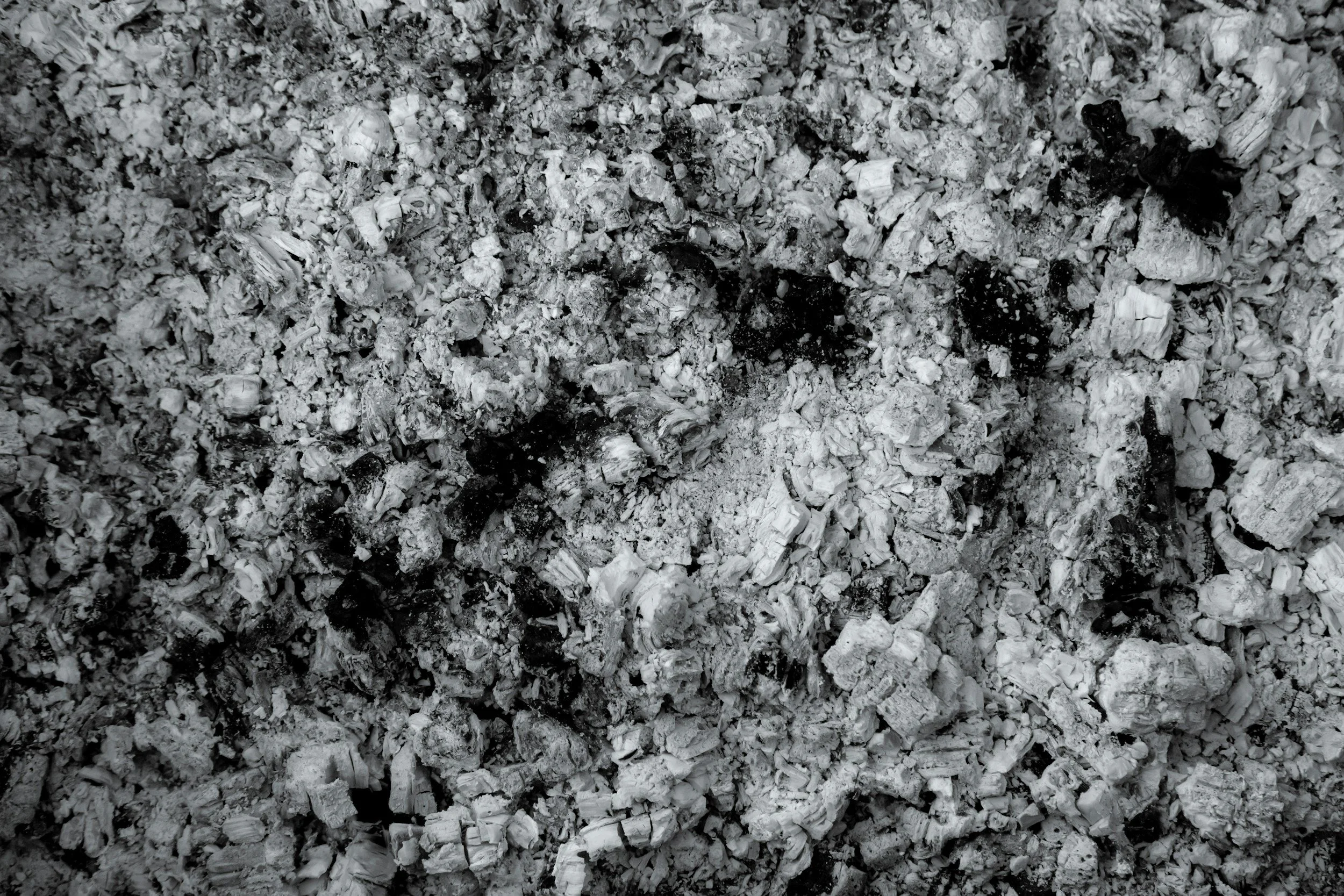 ASBESTOS DANGERS   (Copy)