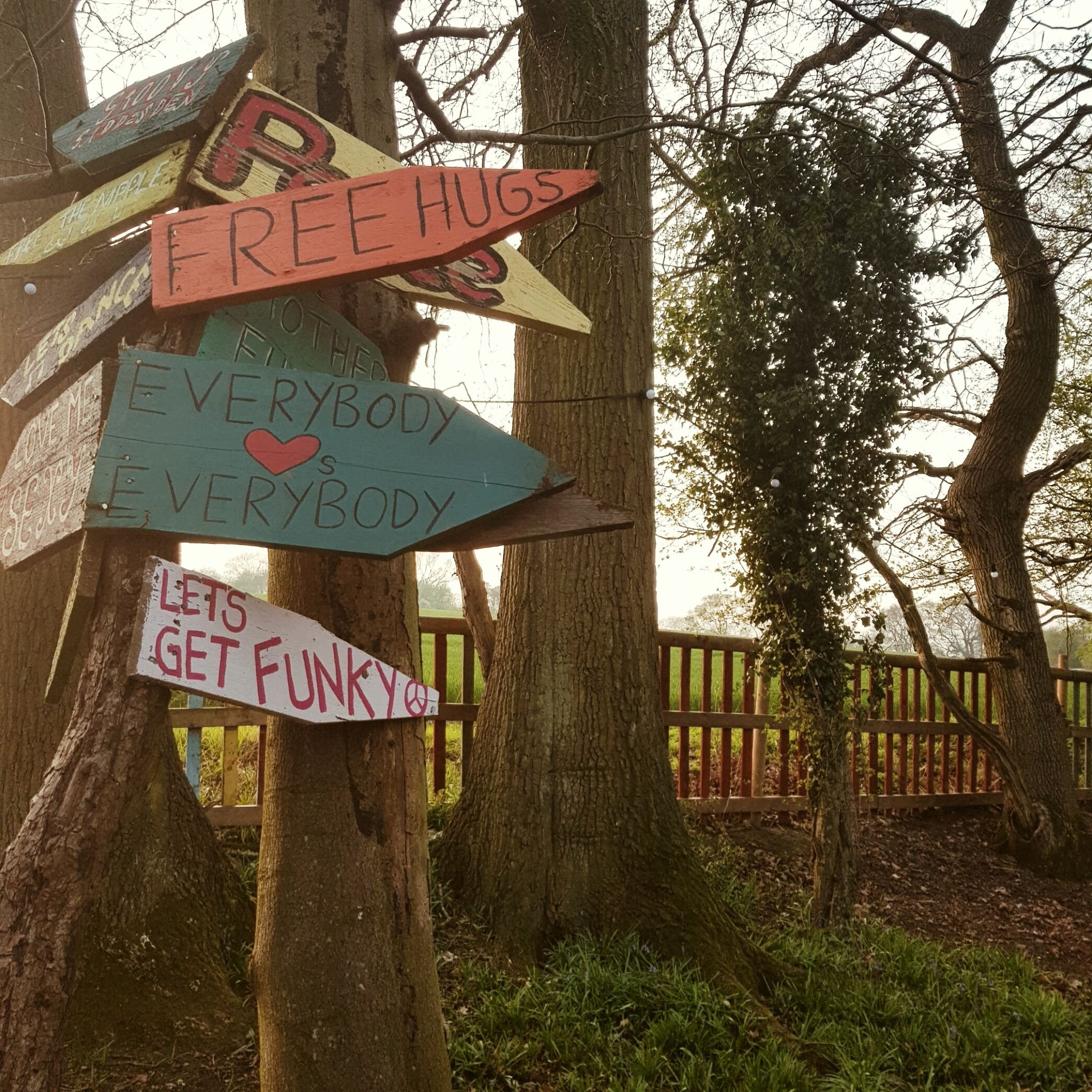 Colorful wooden signs on a tree in a forest, including messages like "Free Hugs," "Everybody Loves Everybody," and "Let's Get Funky!" with a wooden fence visible in the background.
