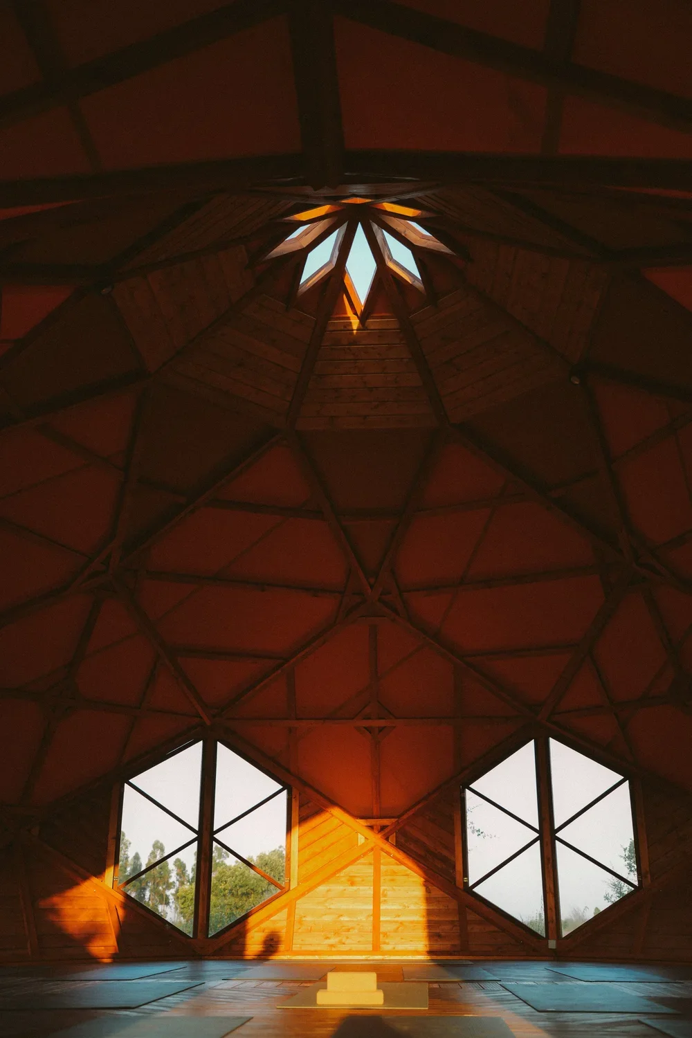 shala 2.webp