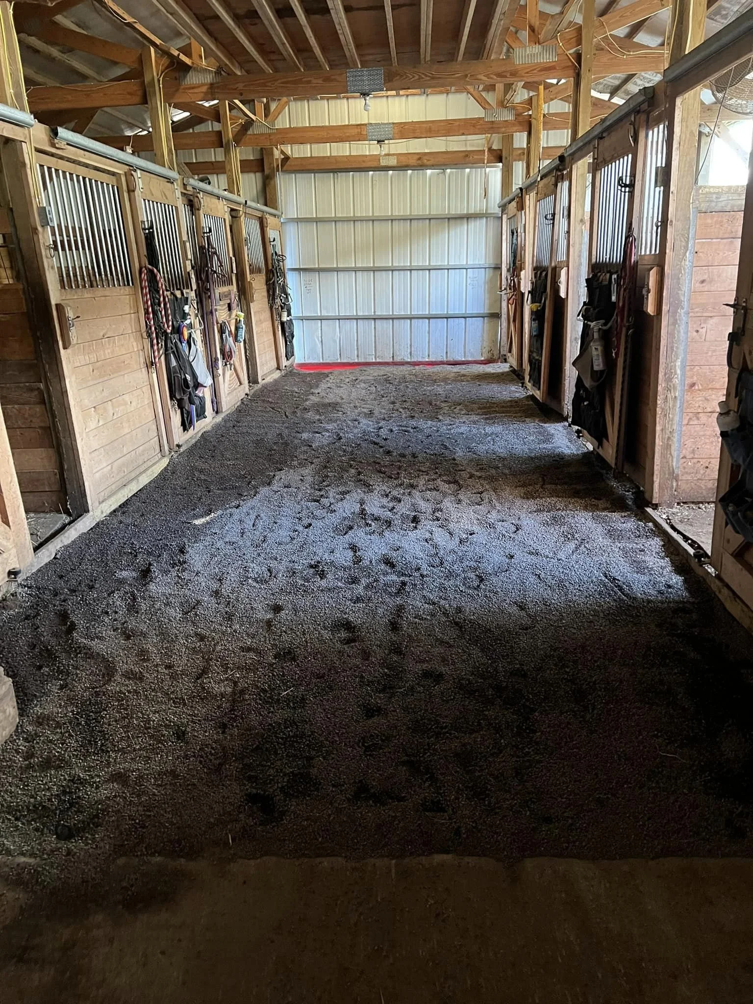 Inside a horse stable with wooden stalls on each side, some equipment hanging on the stall doors, and the ground covered with a layer of dirt or fresh bedding.