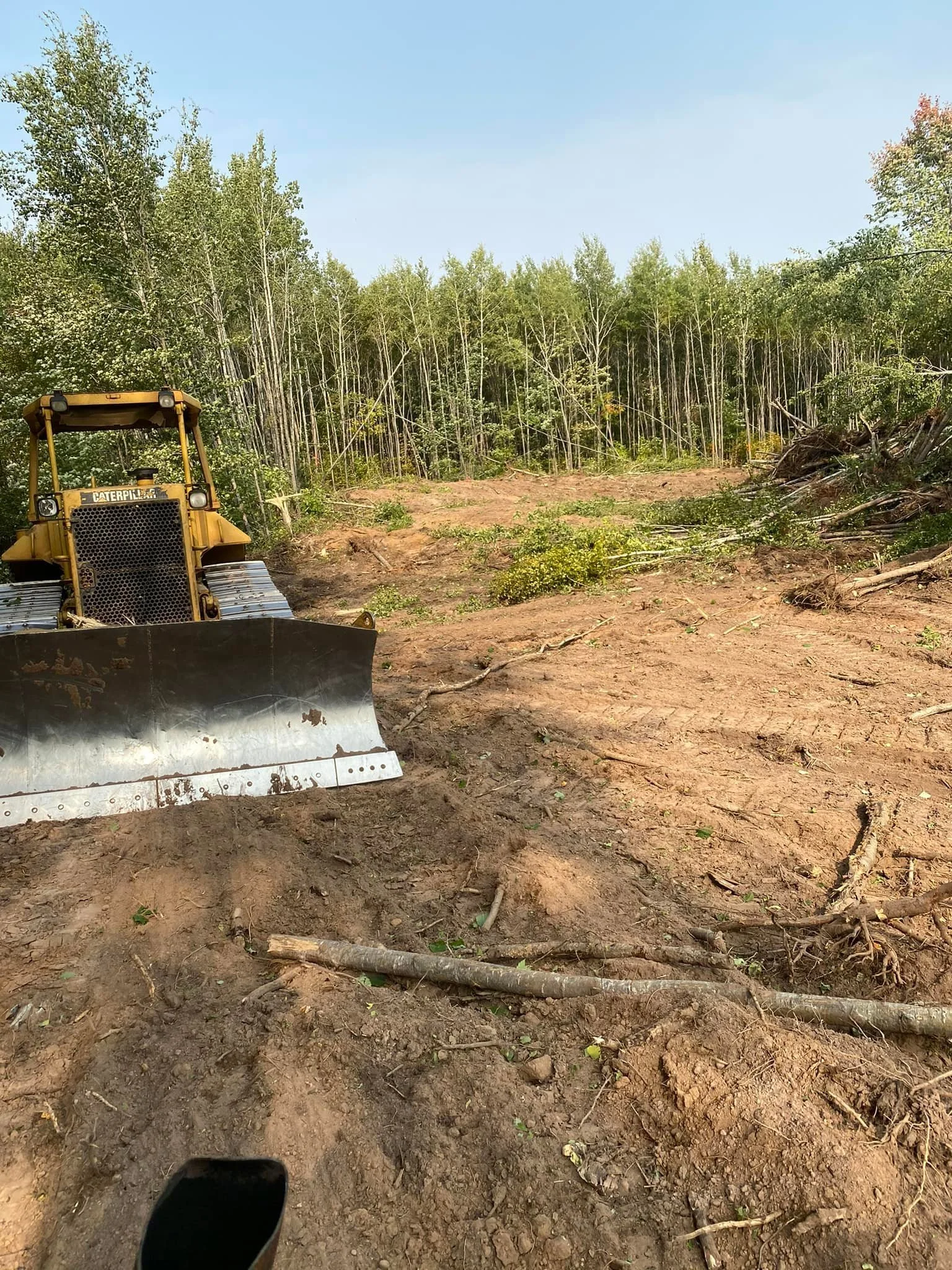 Land clearing in solon springs wi