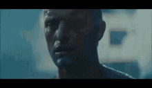 Blade Runner Day (June 25)