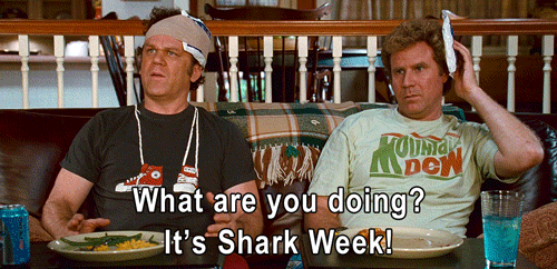 Step Brothers Weekend