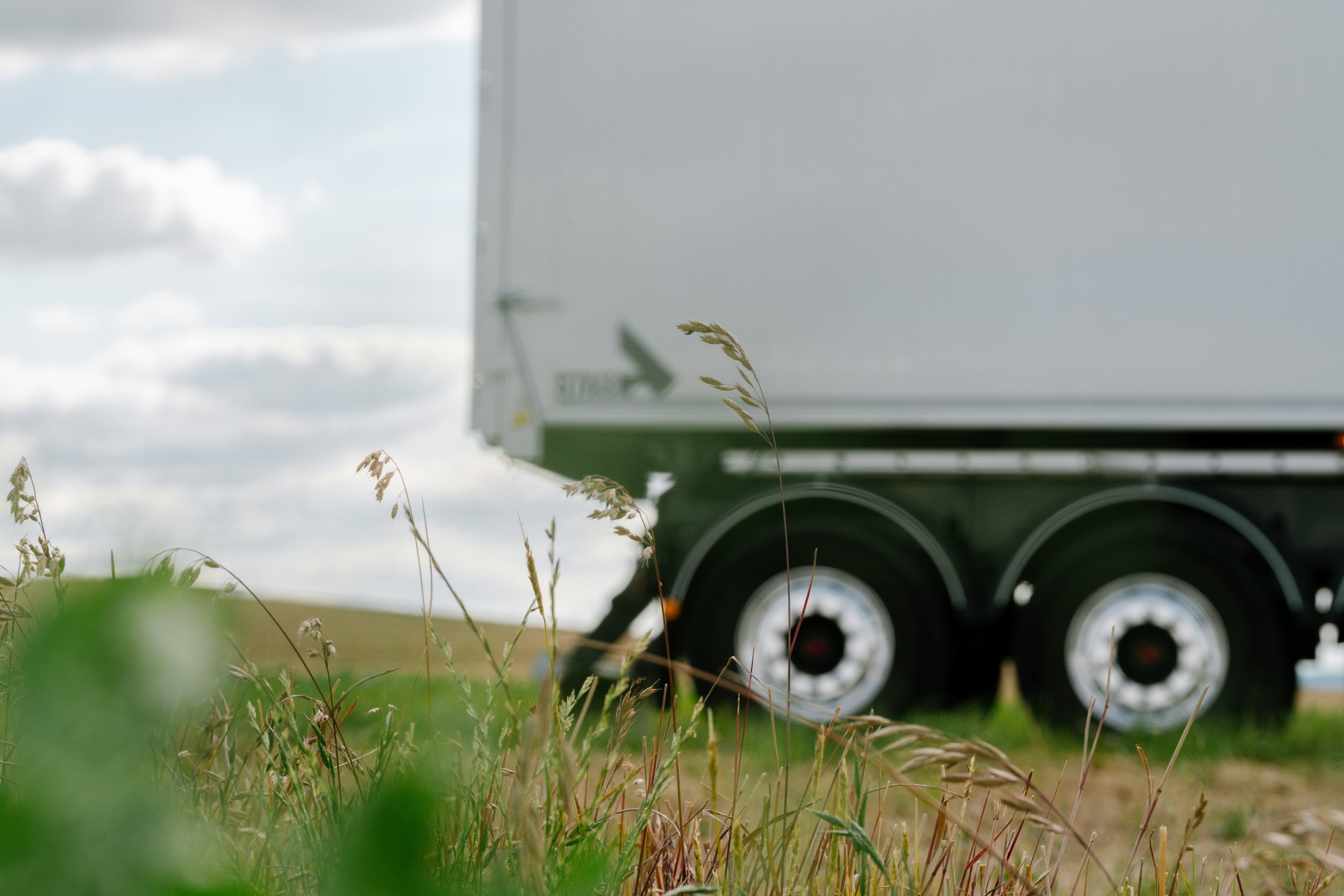 Close-up van gras met een vrachtwagen op de achtergrond, bewolkte lucht.